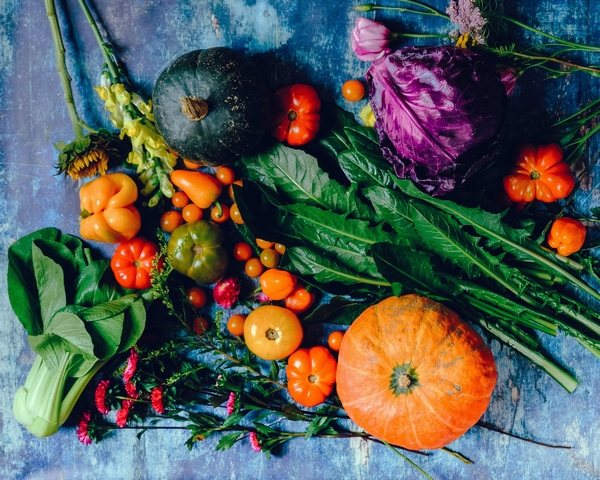 emmanuelle-cousaert-naturopathe-micronutrition3